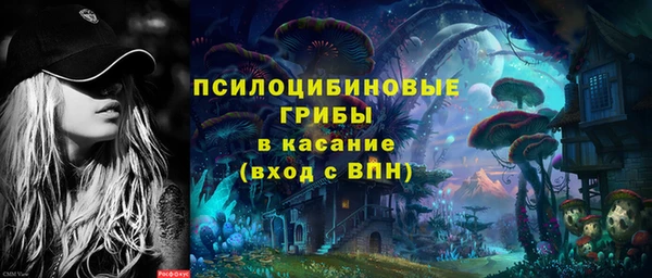 СК Володарск